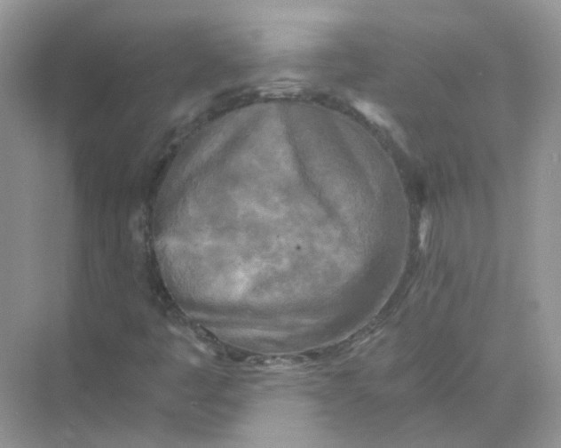 X0000073861445200608312014