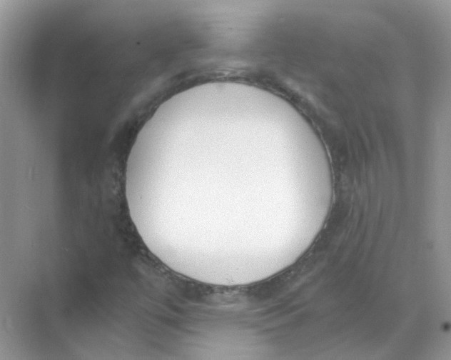 X0000073861447200608312014