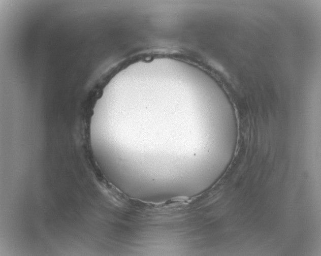 X0000073861448200608312014