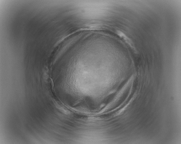 X0000073861449200608312014