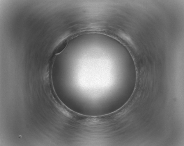 X0000073861450200608312014