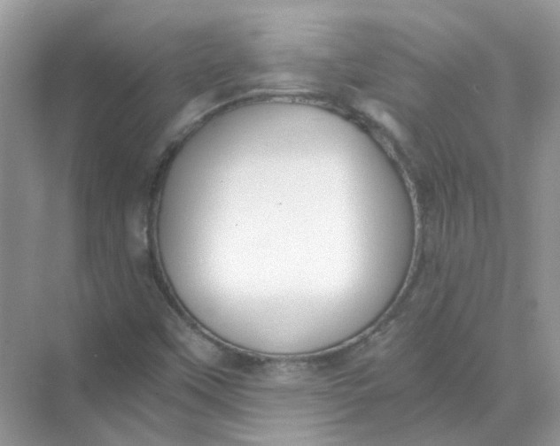 X0000073861451200608312014