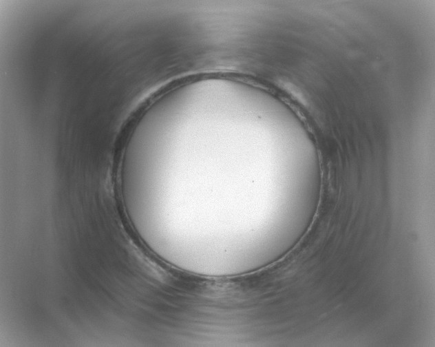 X0000073861452200608312014