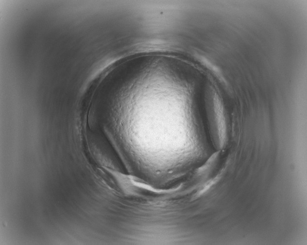 X0000073861453200608312014