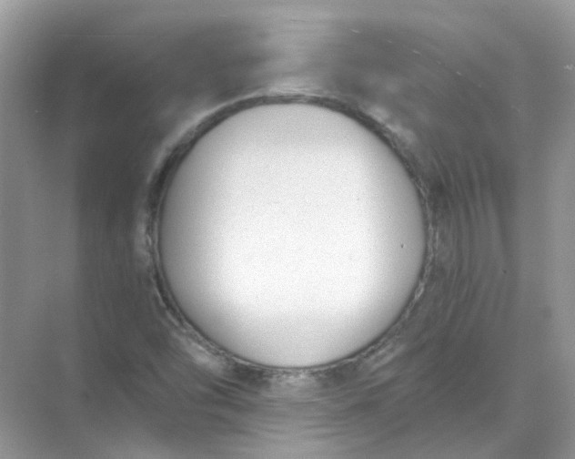 X0000073861454200608312014