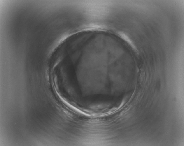 X0000073861455200608312014