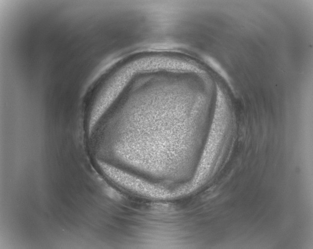 X0000073861456200608312014