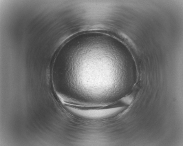 X0000073861457200608312014