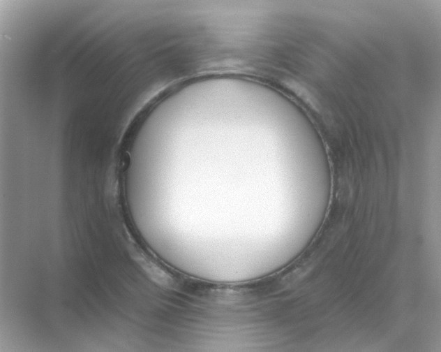 X0000073861458200608312014