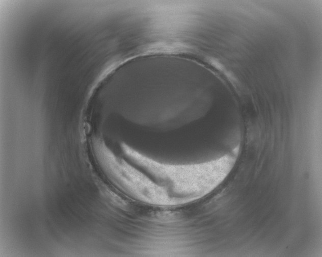 X0000073861459200608312014