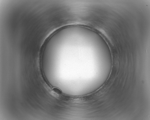 X0000073861460200608312014