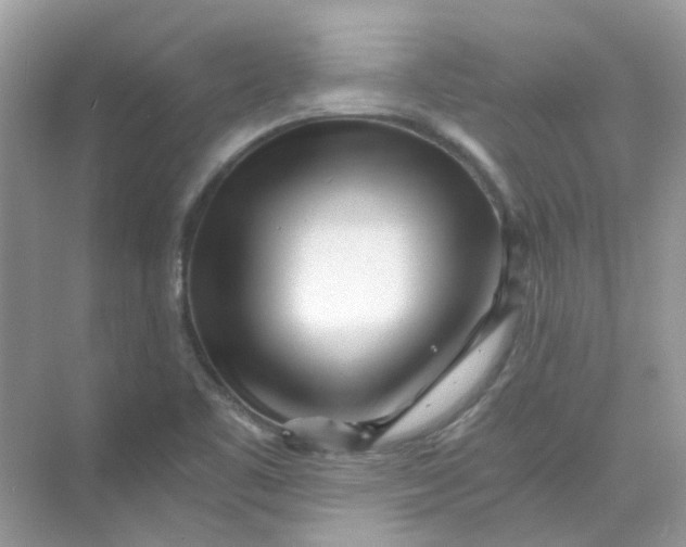 X0000073861461200608312014