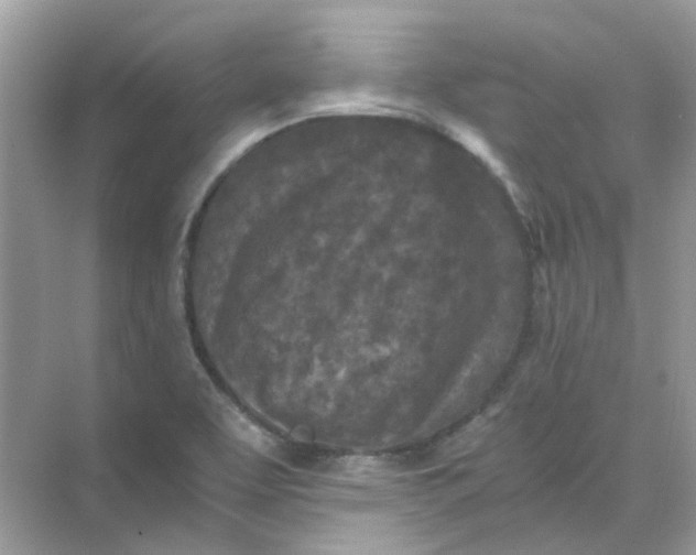 X0000073861463200608312014