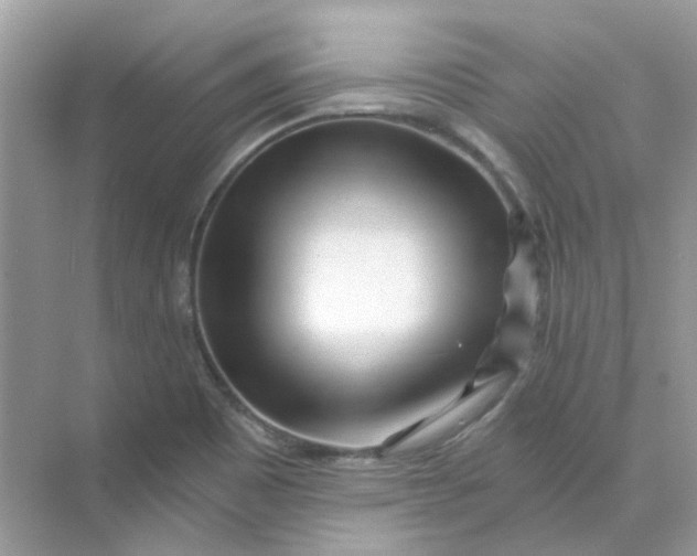 X0000073861465200608312014