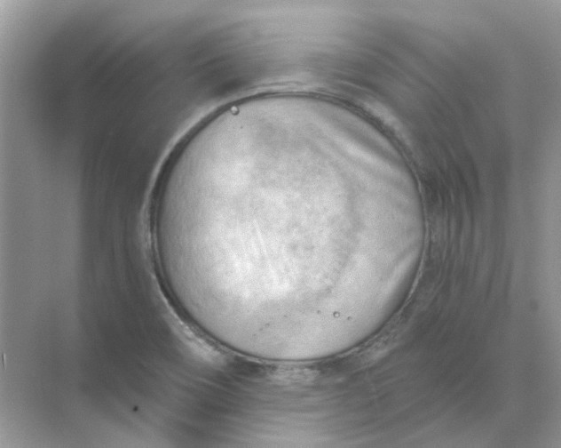 X0000073861466200608312014