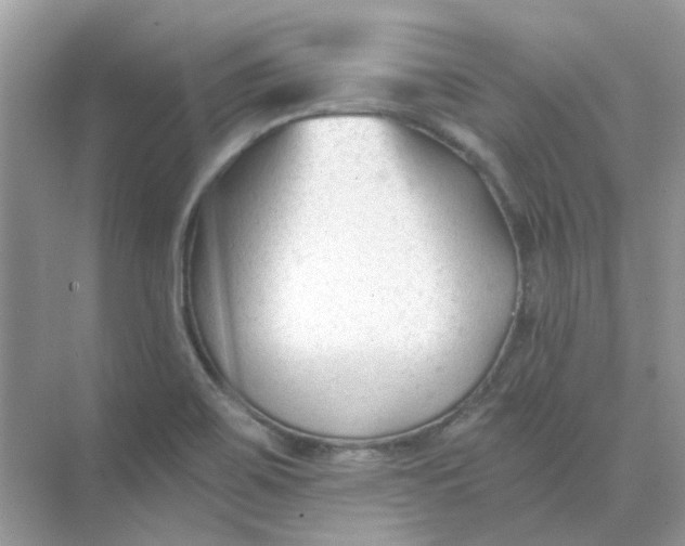 X0000073861467200608312014