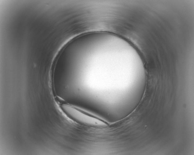 X0000073861468200608312014