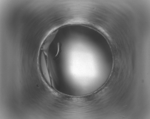 X0000073861469200608312014