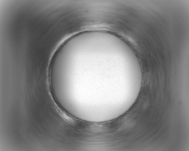 X0000073861470200608312014