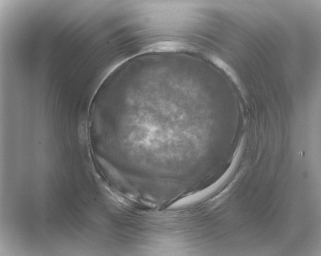 X0000073861473200608312014