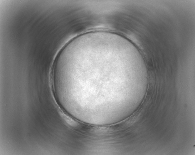 X0000073861474200608312014