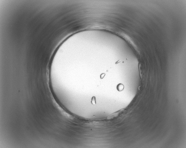 X0000073861476200608312014