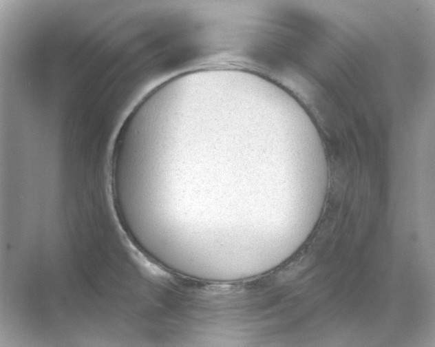 X0000073861478200608312014