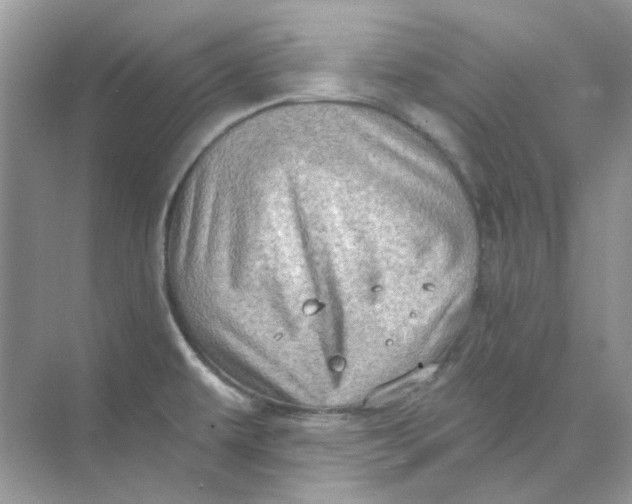 X0000073861479200608312014