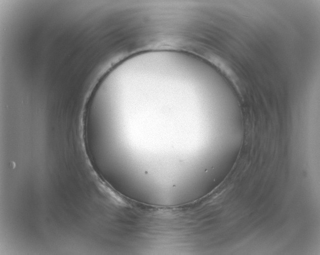 X0000073861480200608312014