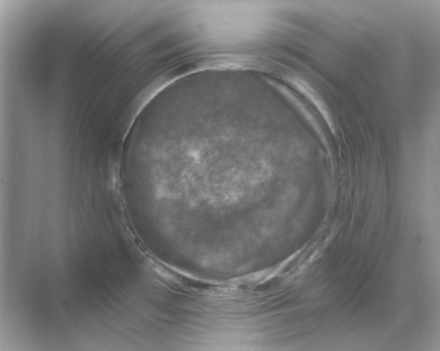 X0000073861481200608312014