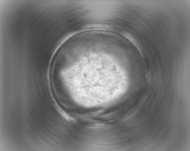 X0000073861482200608312014