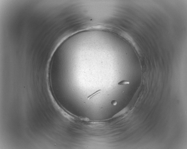 X0000073861483200608312013