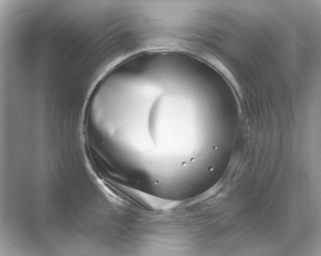 X0000073861485200608312013