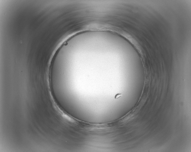 X0000073861486200608312013