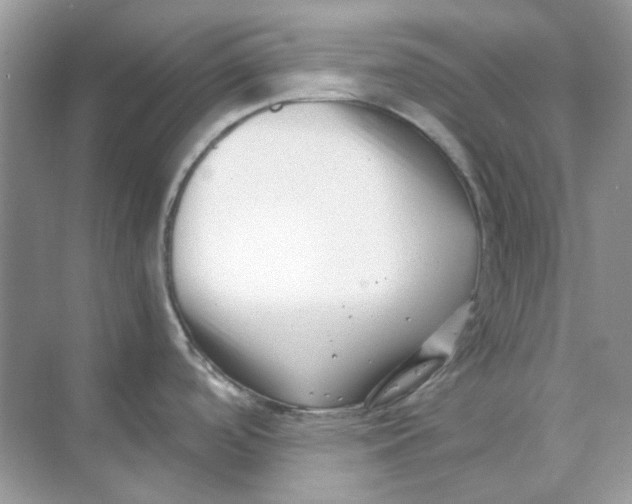 X0000073861488200608312013