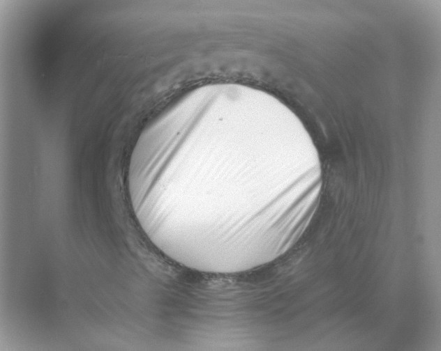 X0000073861489200608312013