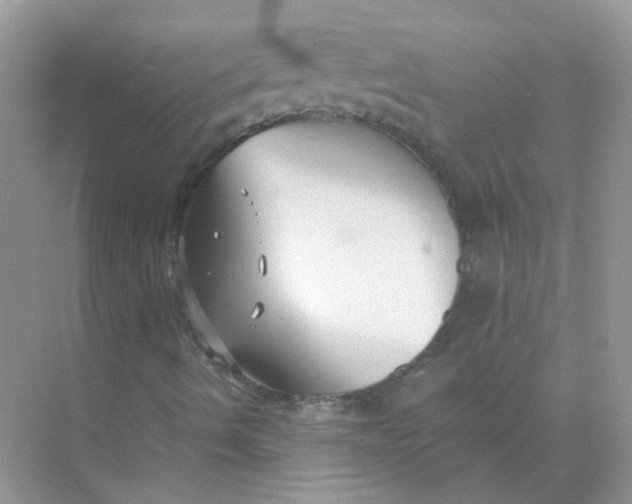 X0000073861490200608312013