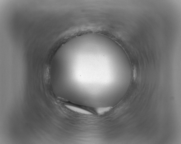 X0000073861492200608312013