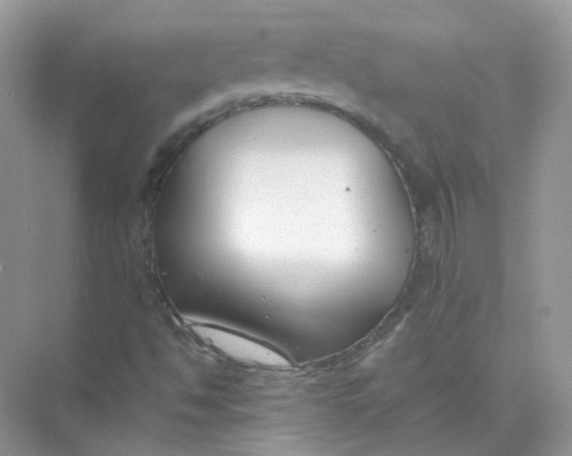 X0000073861494200608312013