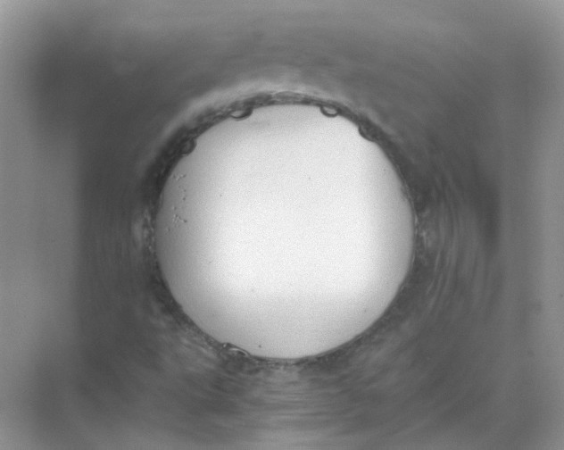 X0000073861495200608312013