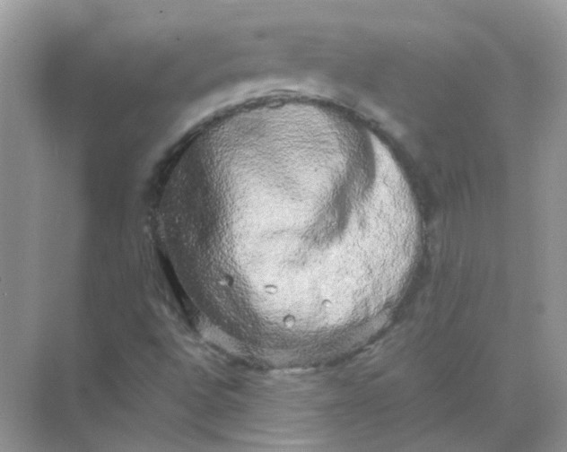 X0000073861496200608312013