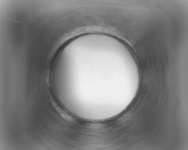 X0000073861499200608312013