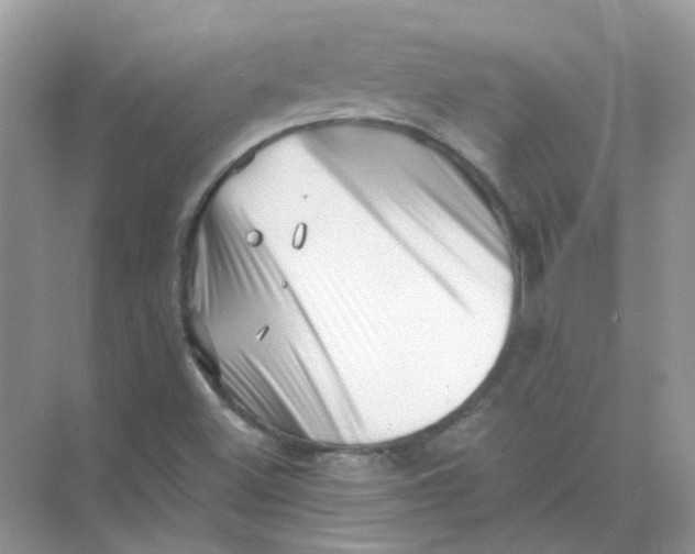 X0000073861500200608312013