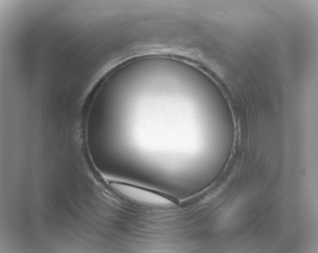 X0000073861501200608312013