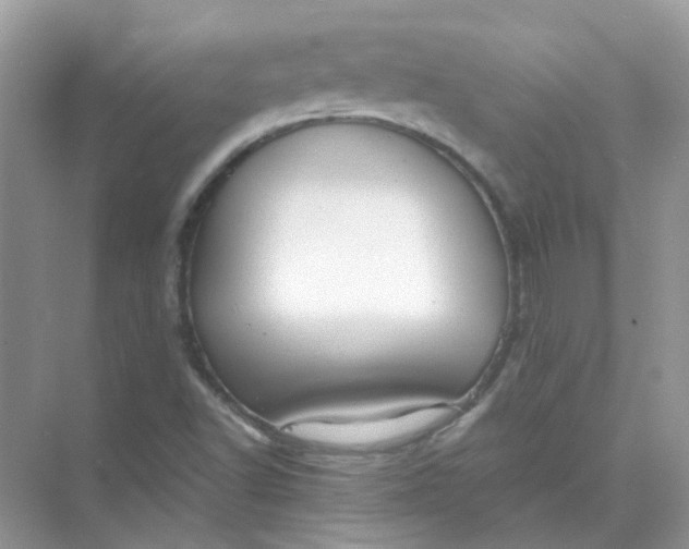 X0000073861502200608312013