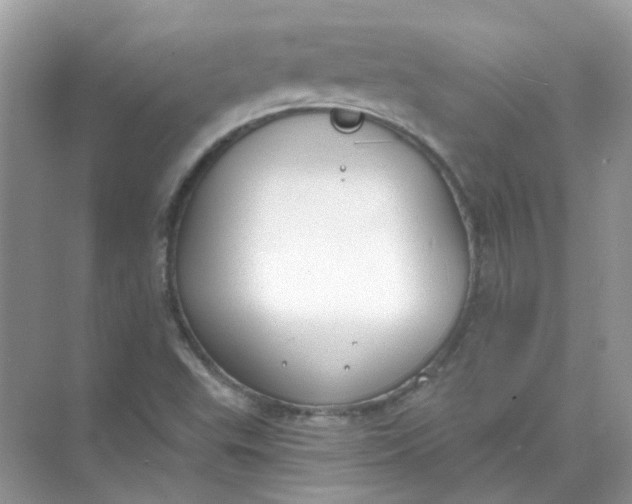 X0000073861503200608312013