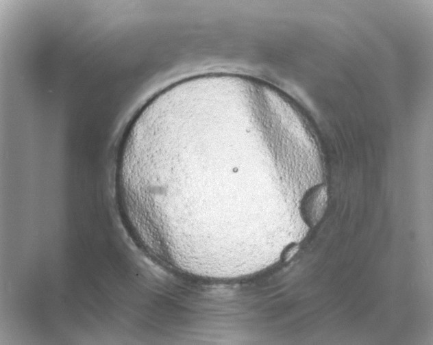 X0000073861504200608312013