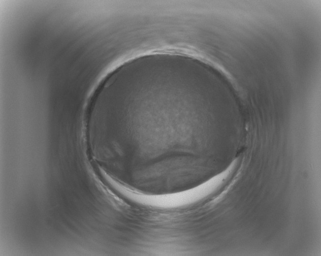 X0000073861506200608312013