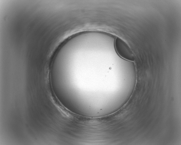 X0000073861507200608312013