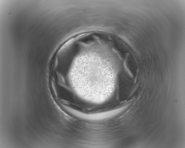 X0000073861508200608312013